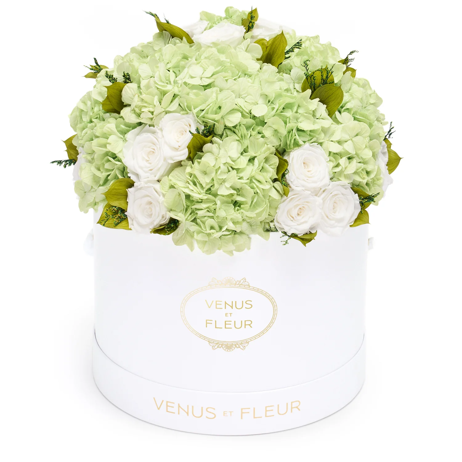 Venus ET Fleur Large Round Roses & Hydrangeas (White Classic Hatbox)