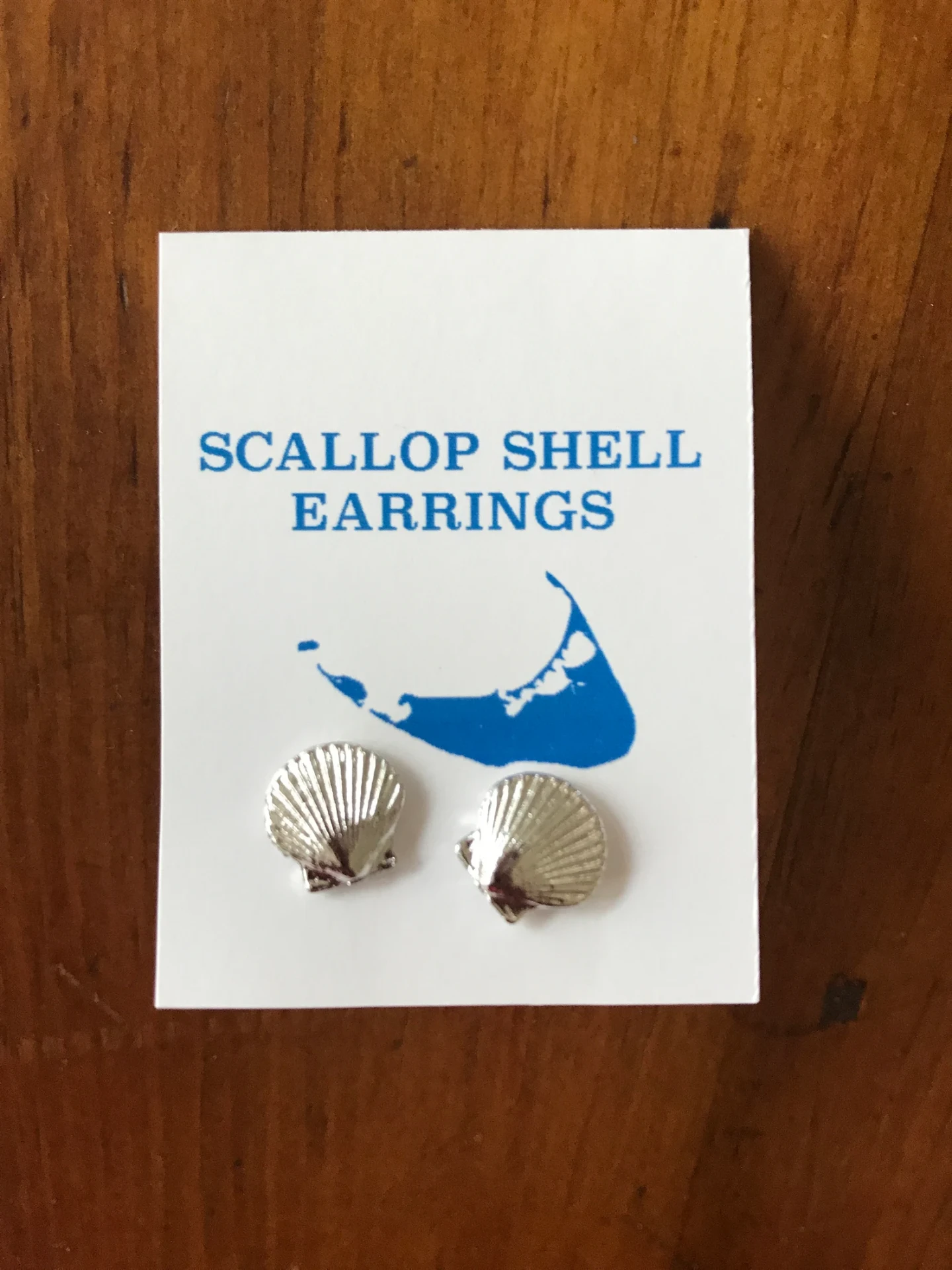 Cape Cod Scallop Shell Sterling Silver Stud Earrings