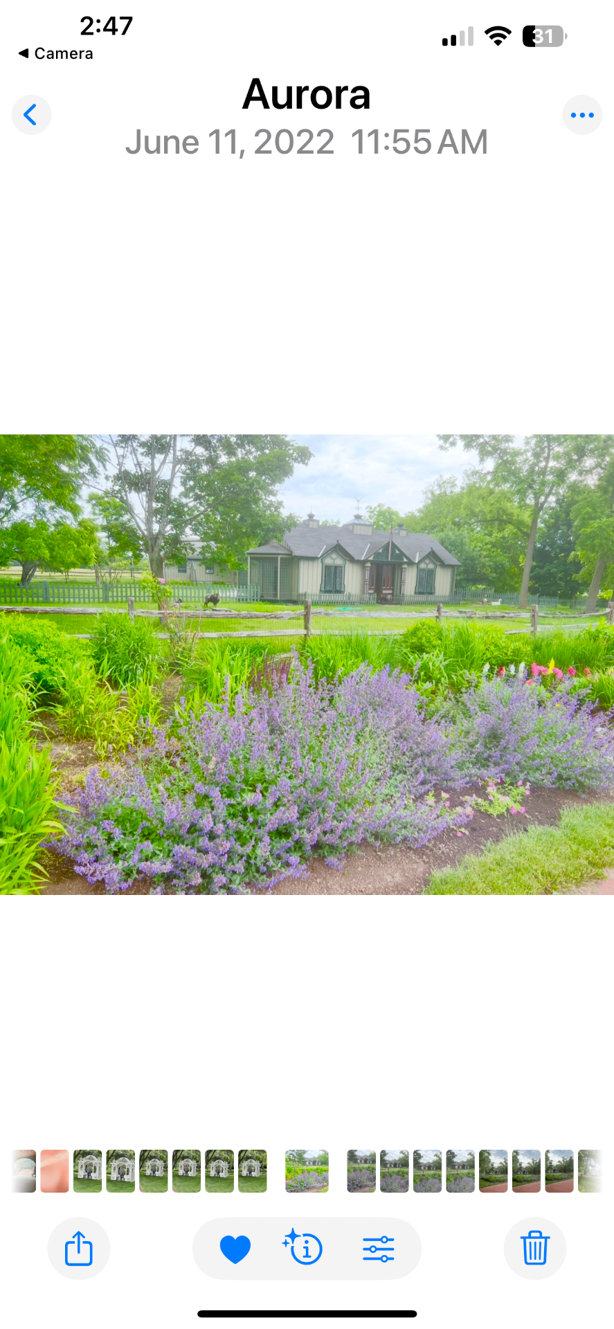The MacKenzie-Childs potting shed cottage behind a split-rail fence with a wide border of purple catmint