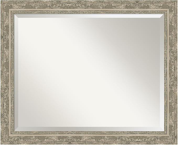 Amanti Art Traditional Silver Wall Mirror — Ornate Champagne-Silver Frame