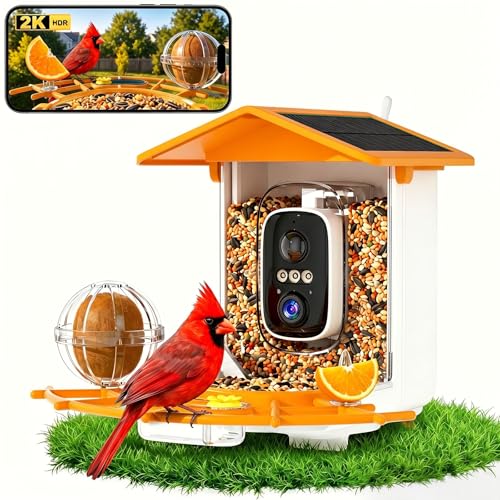 Solar Cardinal Bird Feeder with Warm Amber Lantern Glow
