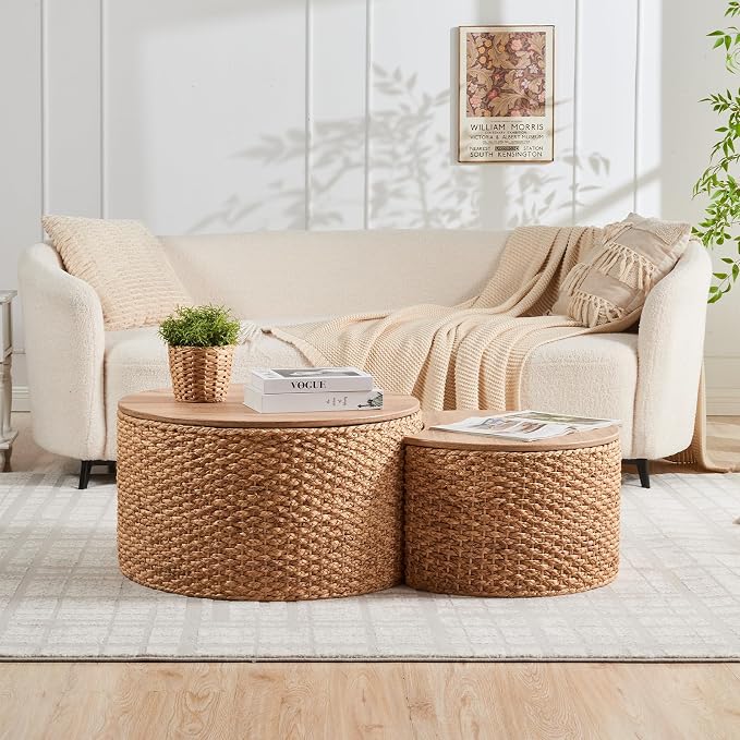 Giofanzo Round Nesting Wicker Coffee Tables with Storage (Set of 2)