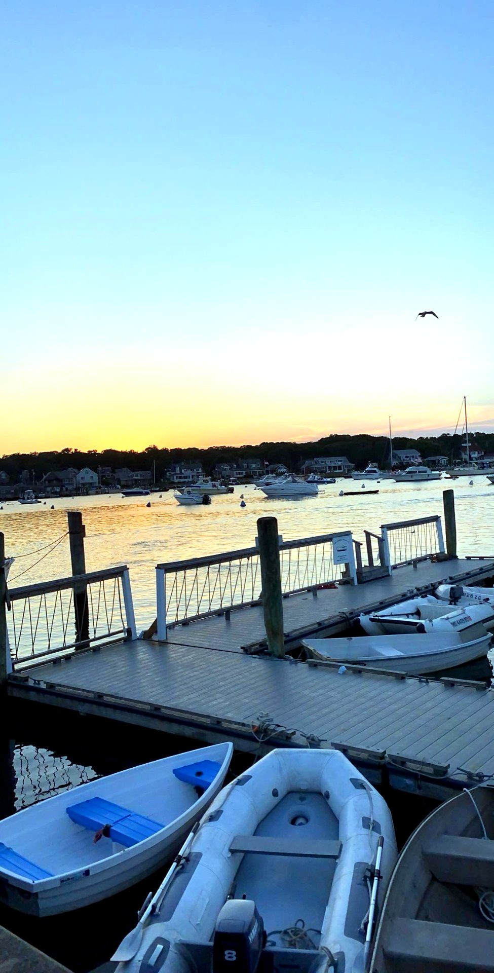 Nantucket harbor at sunset with sailboats